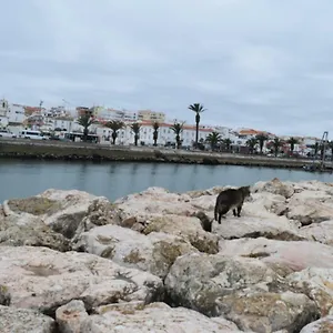 beachcity-guesthouse.hotelaalgarve.com/